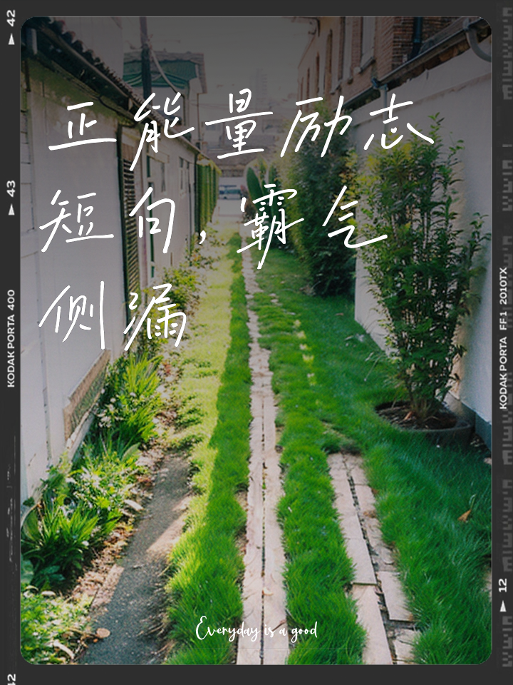 无惧挑战意气风发，勇往直前尽展风采